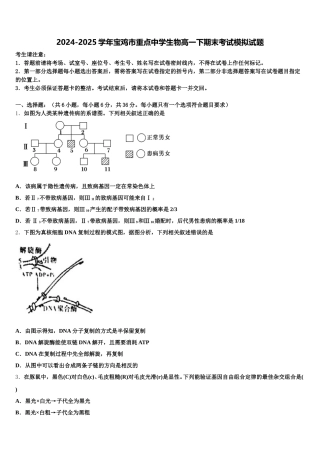 2024-2025学年宝鸡市重点中学生物高一下期末考试模拟试题含解析