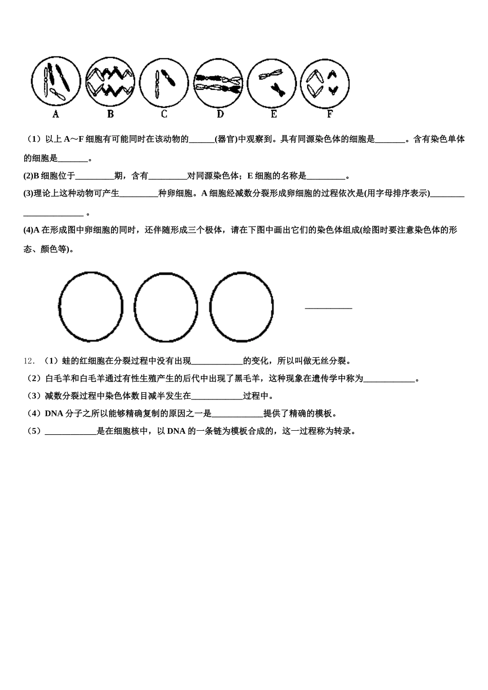 2024-2025学年陕西省西安市莲湖区七十中生物高一下期末调研试题含解析_第3页