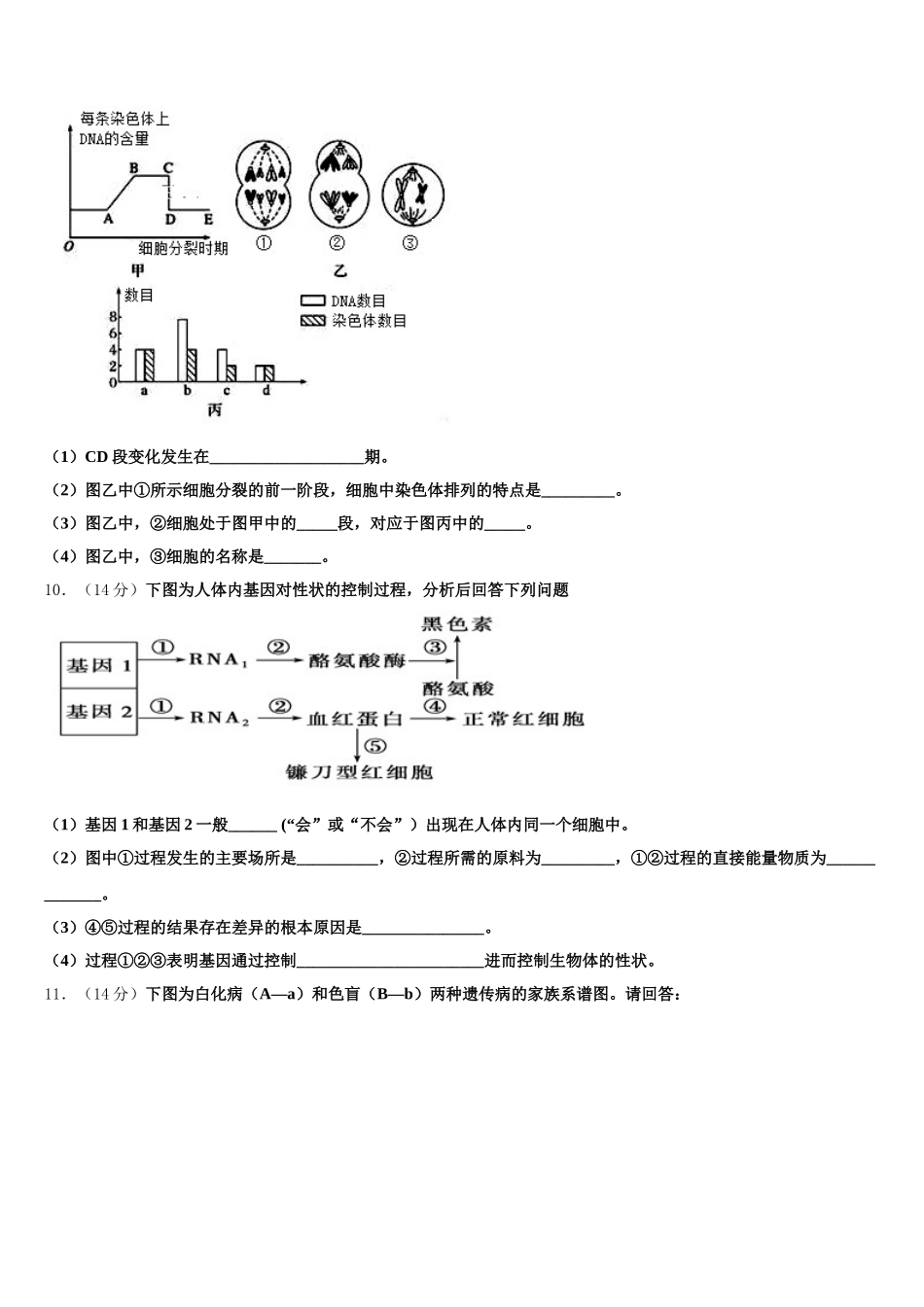 陕西省四校2025届高一下生物期末检测模拟试题含解析_第3页