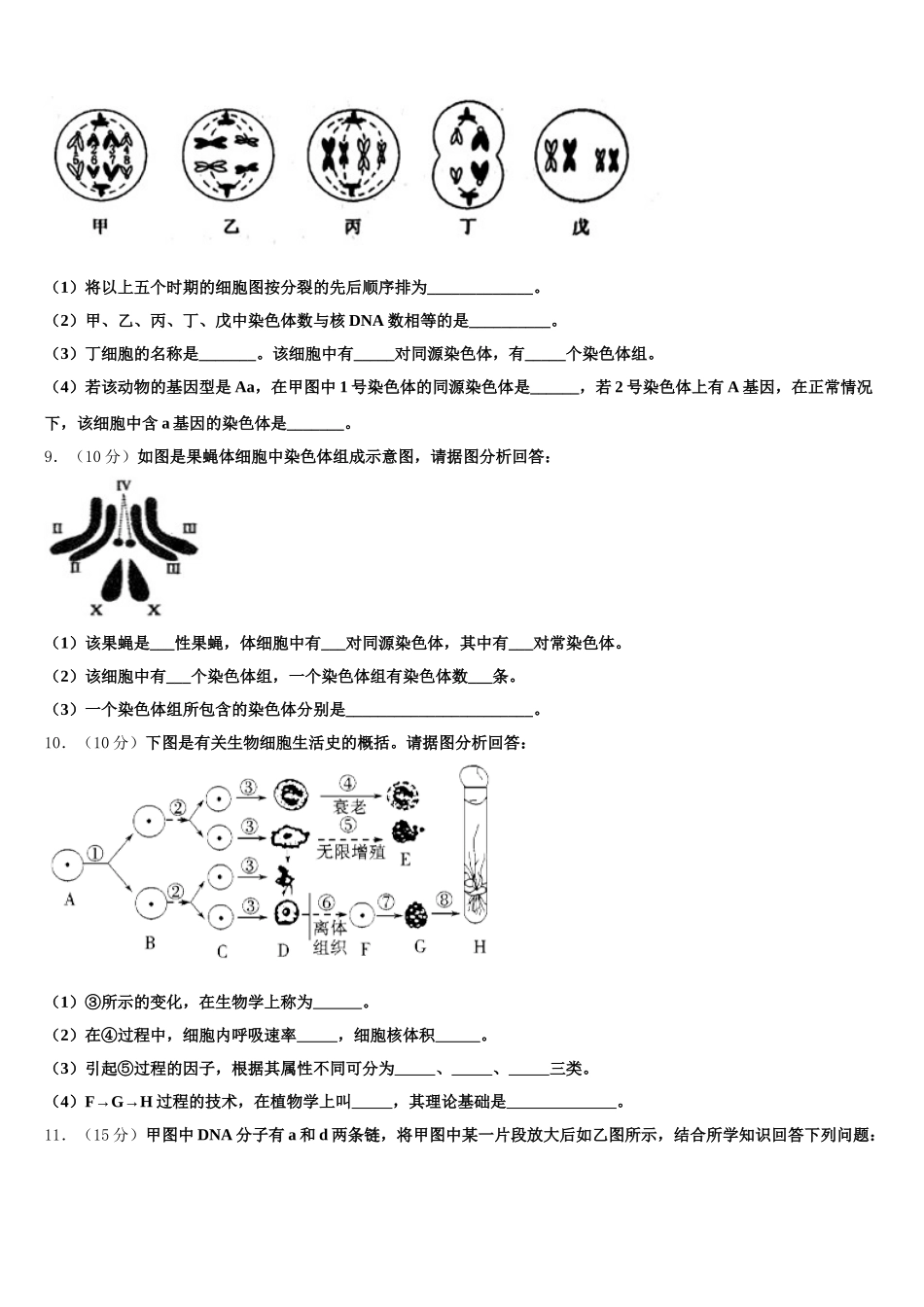2025年陕西省西安市长安第一中学生物高一第二学期期末达标测试试题含解析_第3页