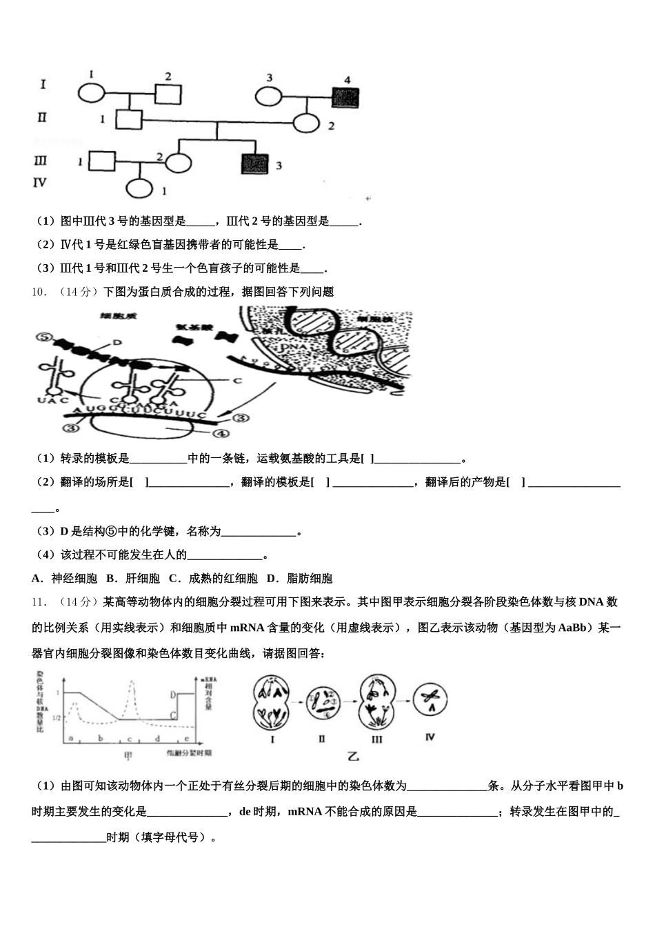 陕西省商洛中学2024-2025学年生物高一下期末质量跟踪监视模拟试题含解析_第3页