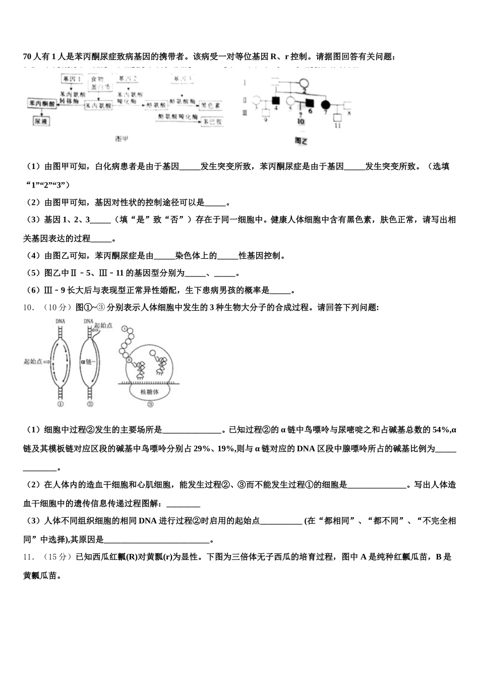 2025年陕西省西北工业大学咸阳启迪中学生物高一下期末学业水平测试模拟试题含解析_第3页