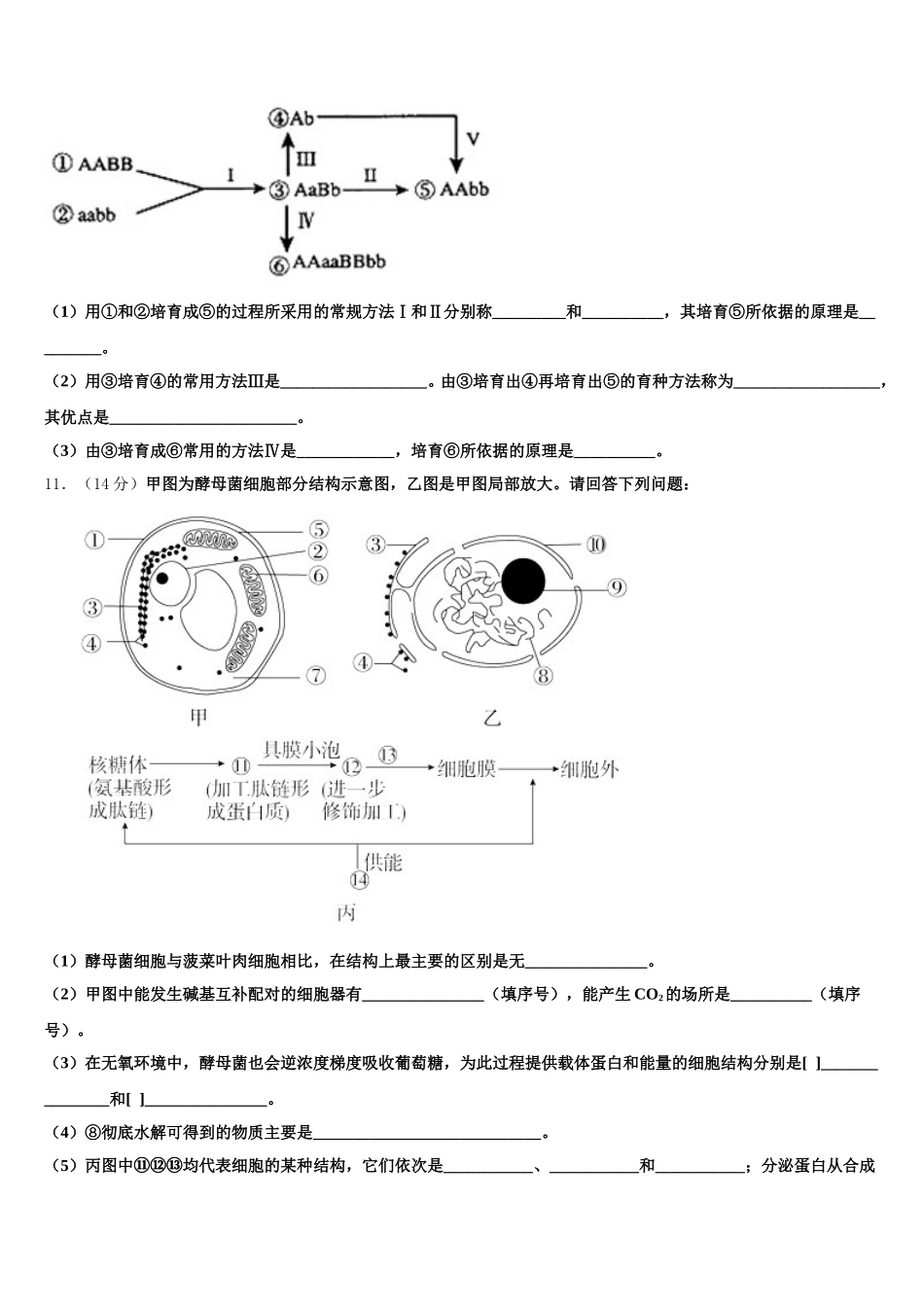2025届陕西韩城高一生物第二学期期末教学质量检测模拟试题含解析_第3页