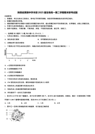 陕西省黄陵中学本部2025届生物高一第二学期期末联考试题含解析