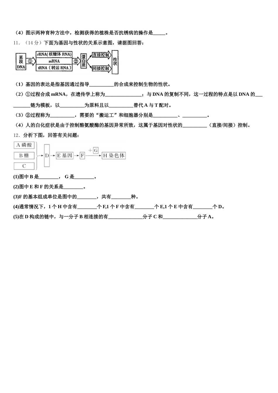 陕西省商洛市洛南县2025年生物高一第二学期期末质量检测模拟试题含解析_第3页