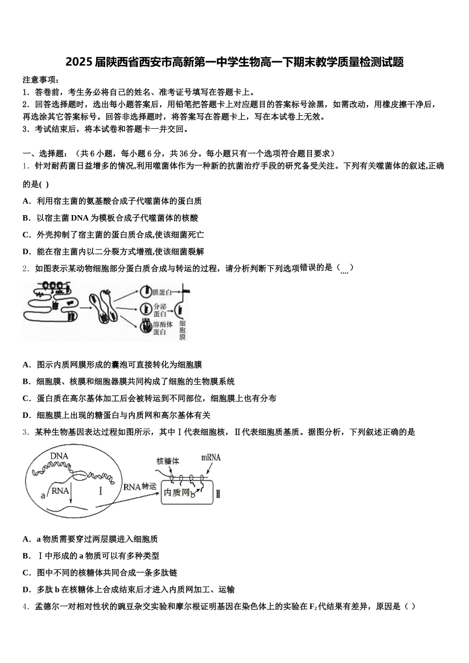 2025届陕西省西安市高新第一中学生物高一下期末教学质量检测试题含解析_第1页