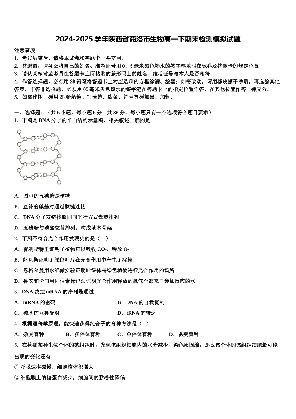 2024-2025学年陕西省商洛市生物高一下期末检测模拟试题含解析_第1页