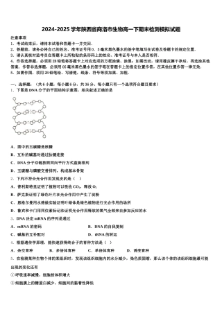 2024-2025学年陕西省商洛市生物高一下期末检测模拟试题含解析