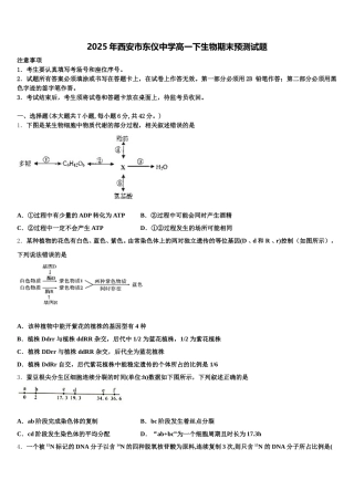 2025年西安市东仪中学高一下生物期末预测试题含解析
