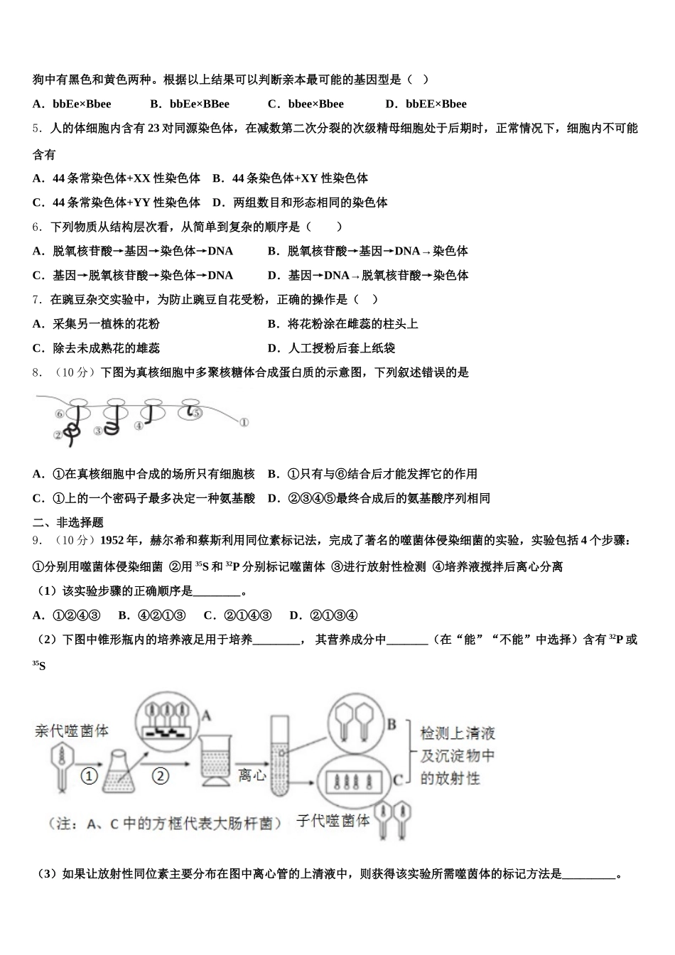 2024-2025学年陕西省洛南县生物高一下期末联考模拟试题含解析_第2页