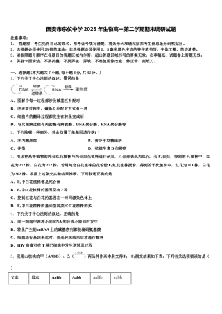 西安市东仪中学2025年生物高一第二学期期末调研试题含解析