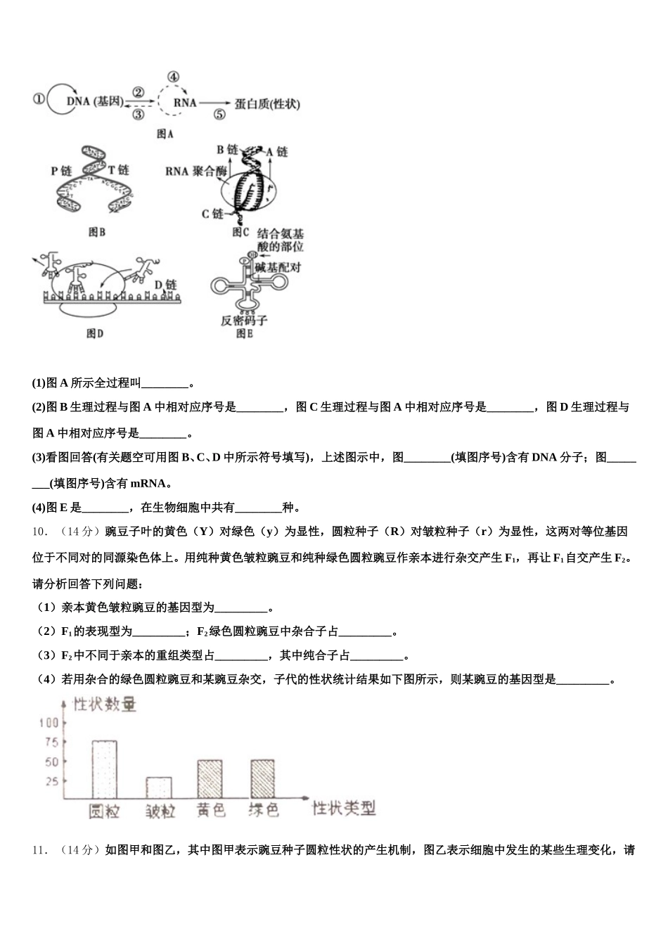 2025年陕西省咸阳市武功县普集高级中学高一下生物期末经典模拟试题含解析_第3页