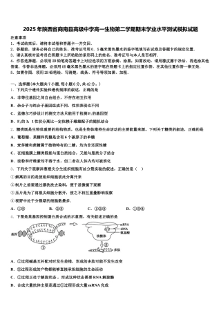 2025年陕西省商南县高级中学高一生物第二学期期末学业水平测试模拟试题含解析