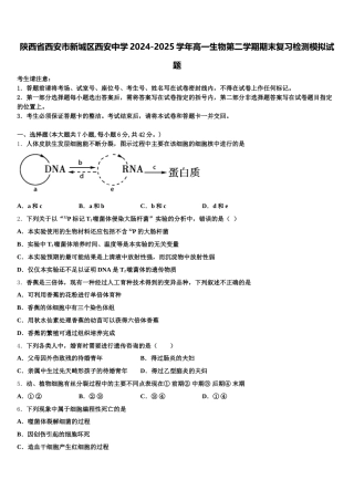 陕西省西安市新城区西安中学2024-2025学年高一生物第二学期期末复习检测模拟试题含解析