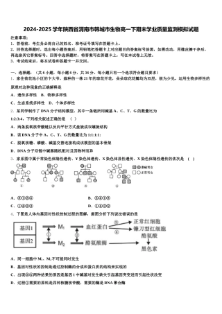 2024-2025学年陕西省渭南市韩城市生物高一下期末学业质量监测模拟试题含解析