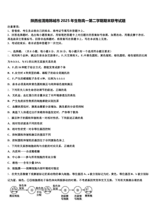 陕西省渭南韩城市2025年生物高一第二学期期末联考试题含解析