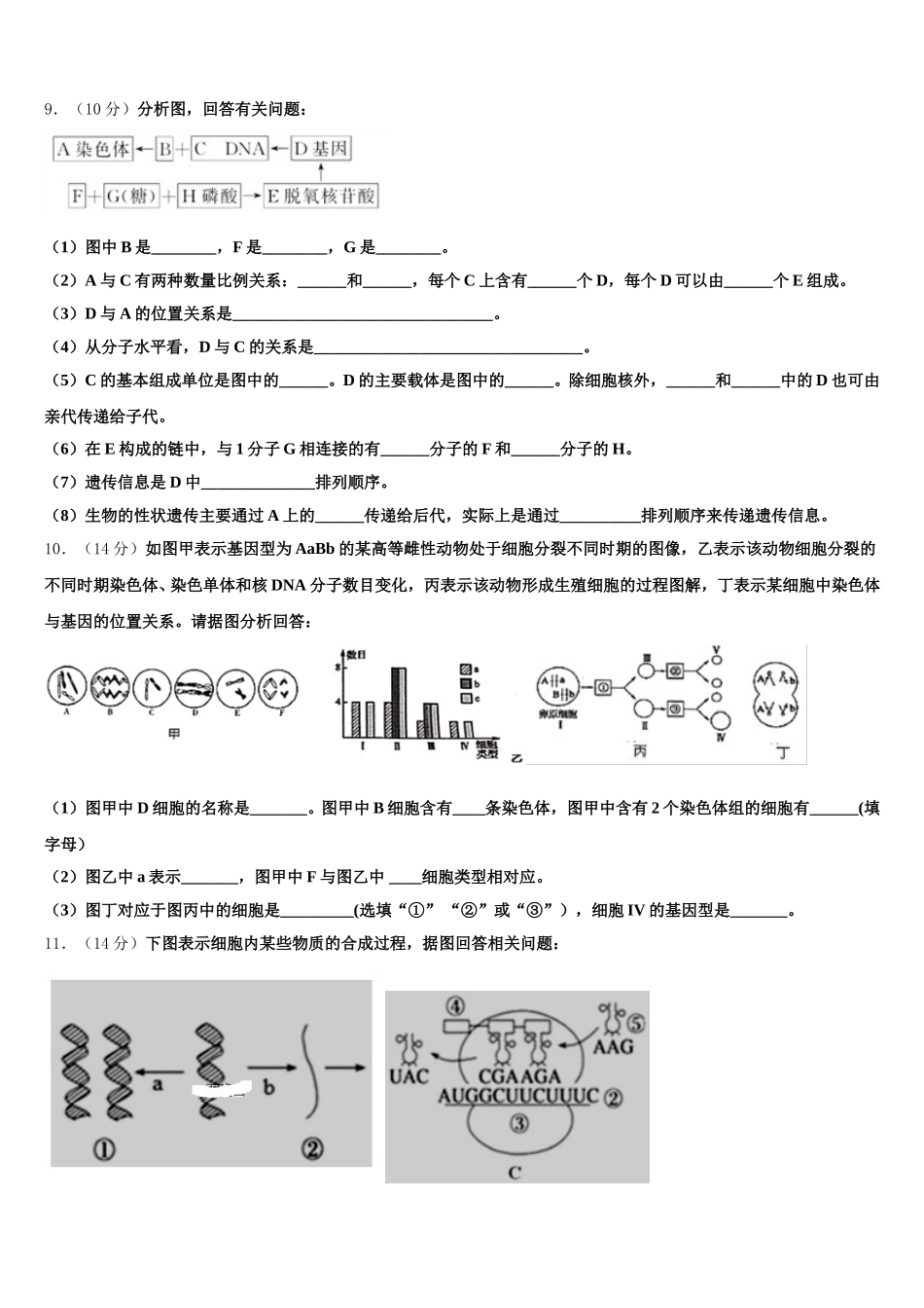 2025年陕西省西乡二中高一生物第二学期期末质量跟踪监视试题含解析_第3页