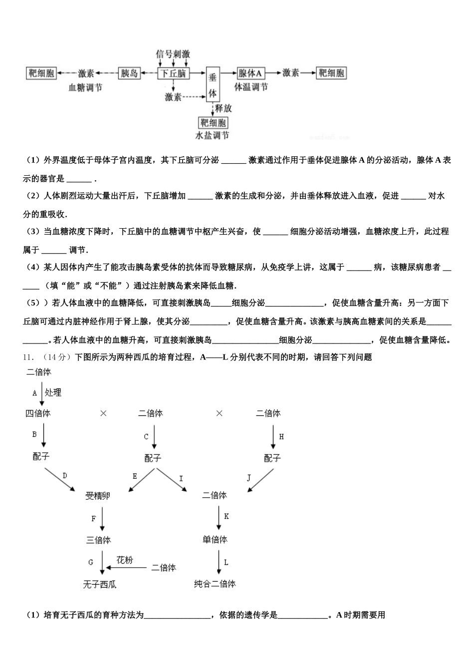 陕西省西乡二中2025年高一生物第二学期期末预测试题含解析_第3页