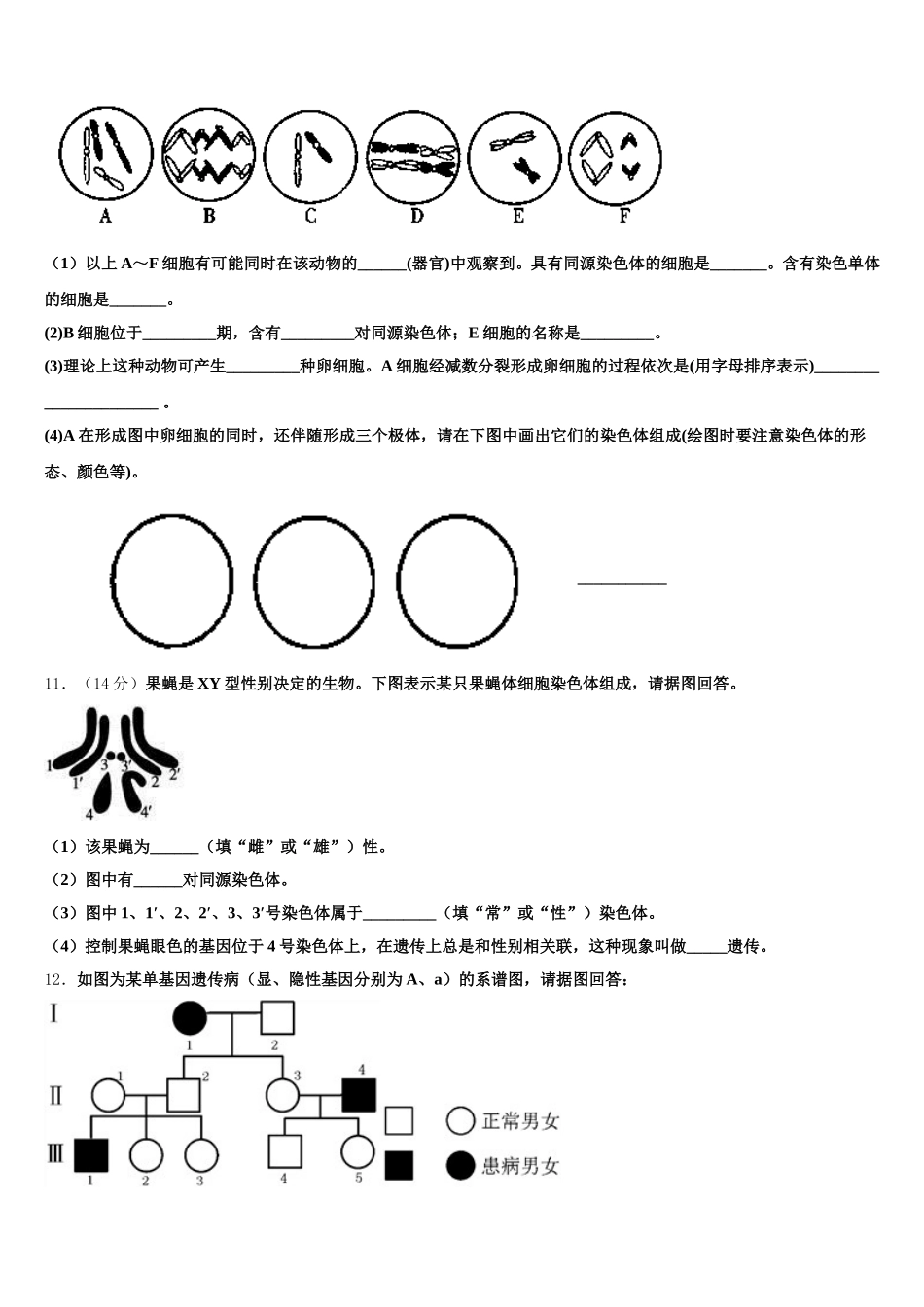 陕西省汉中市2025届生物高一第二学期期末达标检测试题含解析_第3页