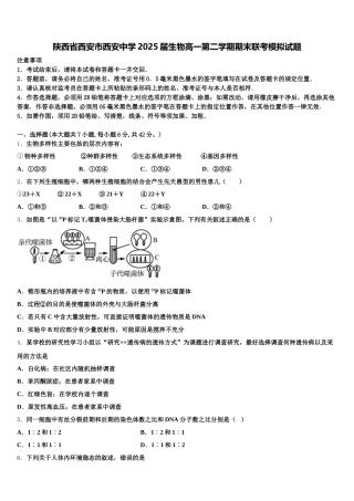 陕西省西安市西安中学2025届生物高一第二学期期末联考模拟试题含解析