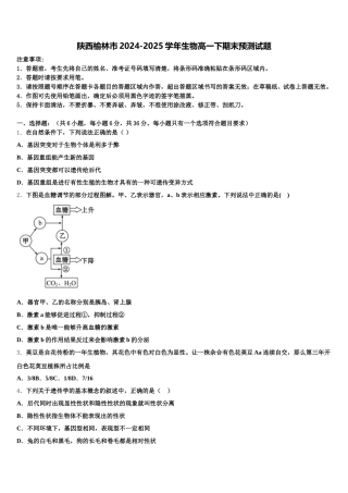 陕西榆林市2024-2025学年生物高一下期末预测试题含解析