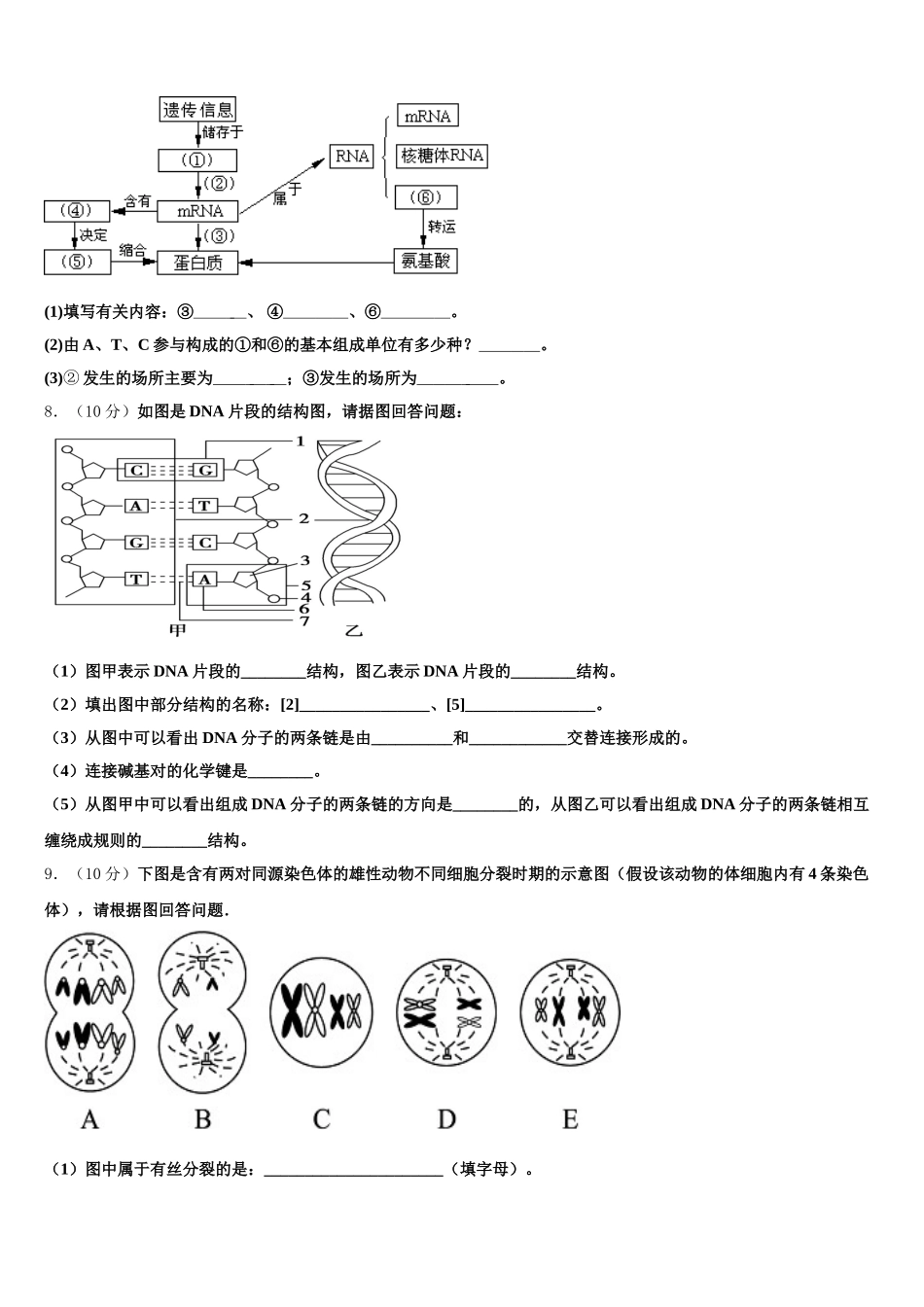 2025年陕西省商洛生物高一第二学期期末经典模拟试题含解析_第3页
