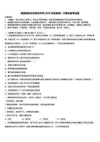 陕西省彬州市彬州中学2025年生物高一下期末联考试题含解析