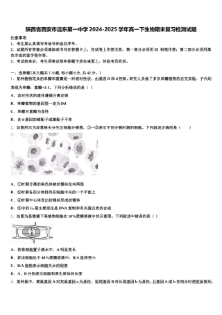 陕西省西安市远东第一中学2024-2025学年高一下生物期末复习检测试题含解析