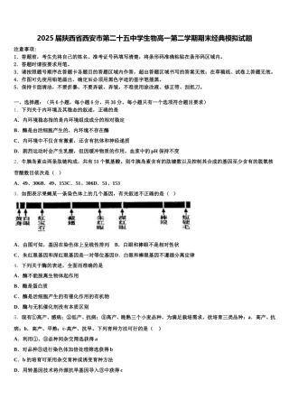2025届陕西省西安市第二十五中学生物高一第二学期期末经典模拟试题含解析