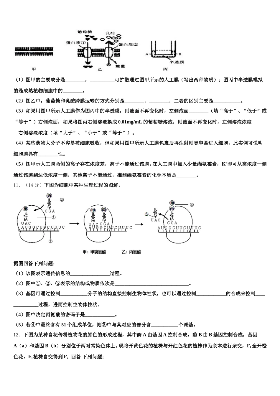 陕西省铜川一中2025年高一生物第二学期期末质量跟踪监视模拟试题含解析_第3页