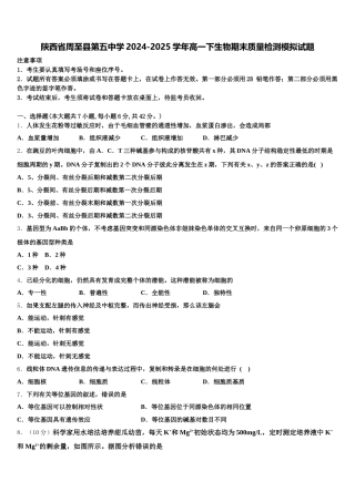 陕西省周至县第五中学2024-2025学年高一下生物期末质量检测模拟试题含解析