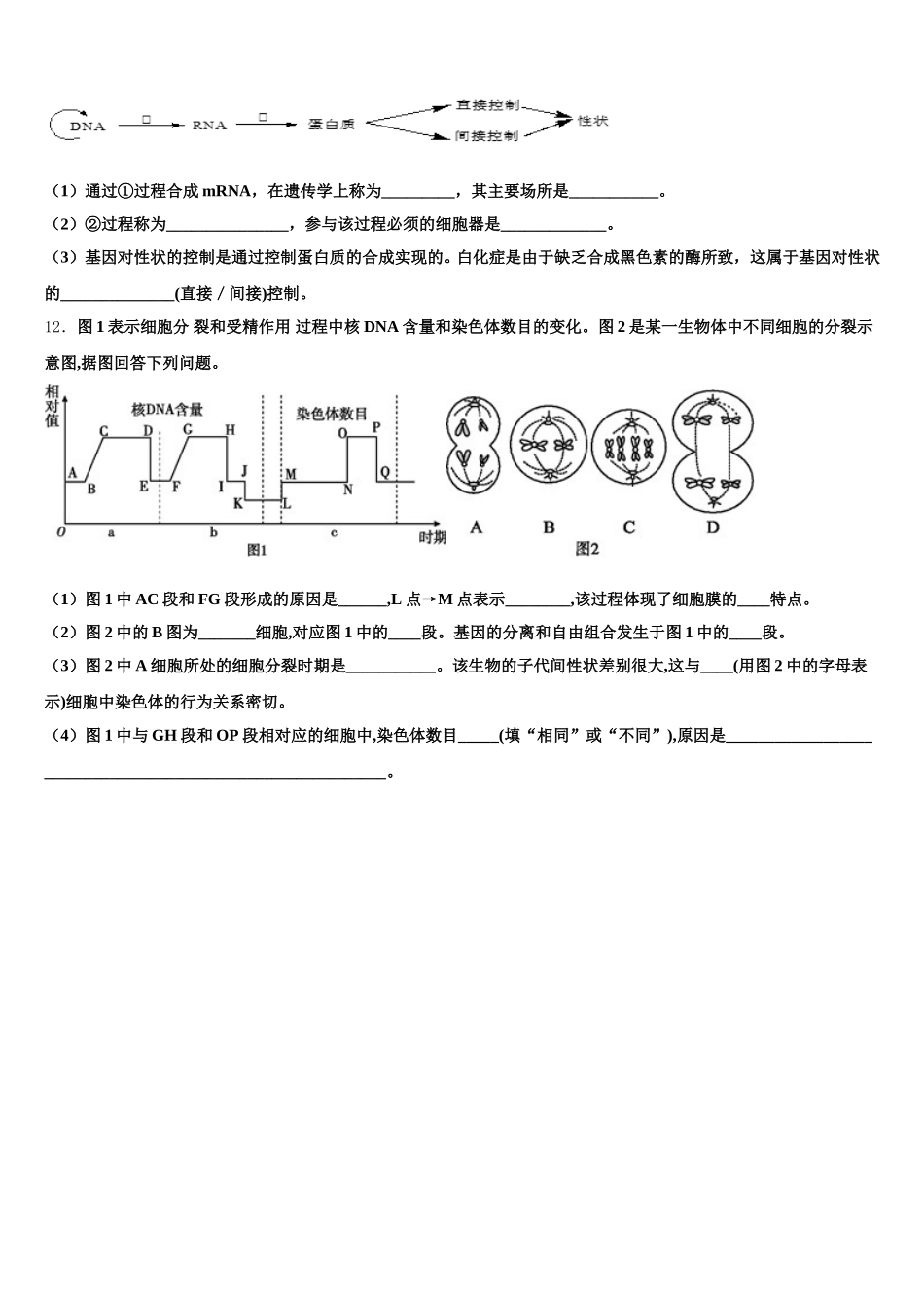陕西省安康市汉滨高中2024-2025学年生物高一下期末综合测试试题含解析_第3页