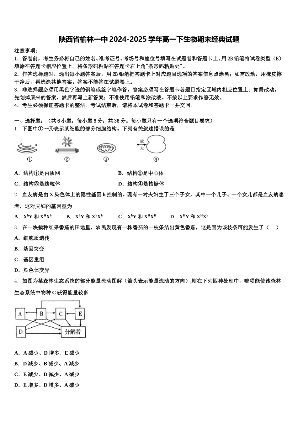 陕西省榆林一中2024-2025学年高一下生物期末经典试题含解析_第1页