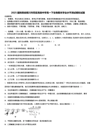 2025届陕西省铜川市同官高级中学高一下生物期末学业水平测试模拟试题含解析