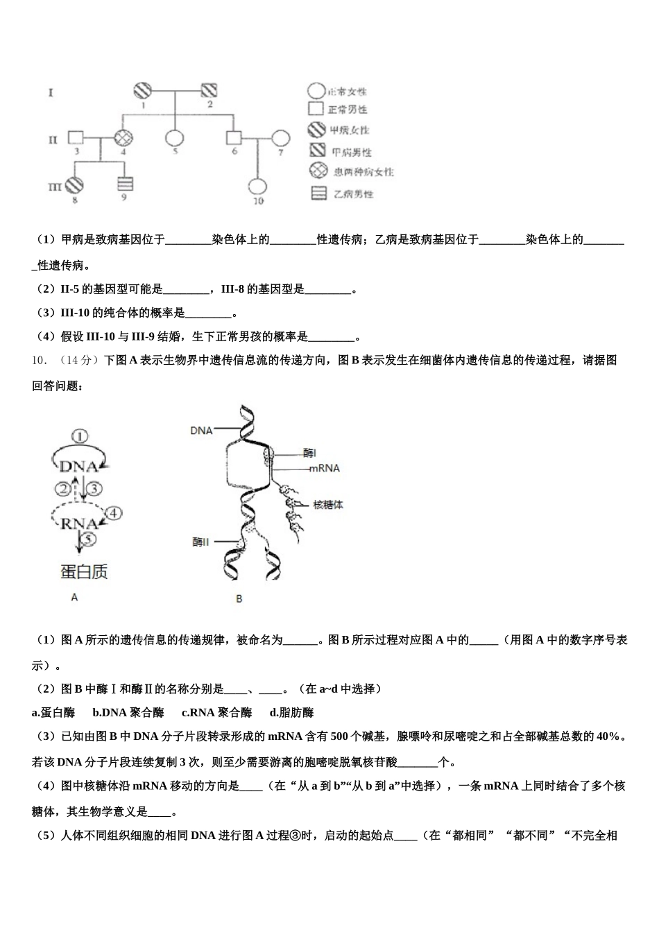陕西省西安市长安一中2024-2025学年高一下生物期末质量跟踪监视模拟试题含解析_第3页