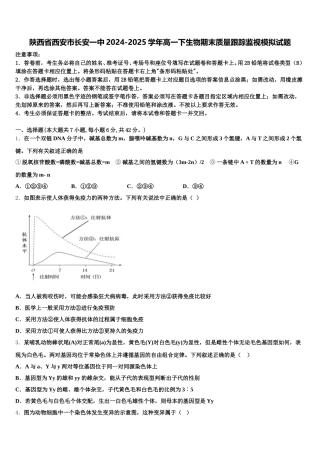 陕西省西安市长安一中2024-2025学年高一下生物期末质量跟踪监视模拟试题含解析