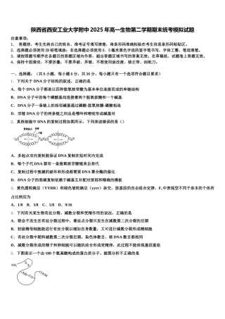 陕西省西安工业大学附中2025年高一生物第二学期期末统考模拟试题含解析