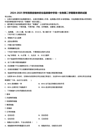 2024-2025学年陕西省榆林府谷县麻镇中学高一生物第二学期期末调研试题含解析
