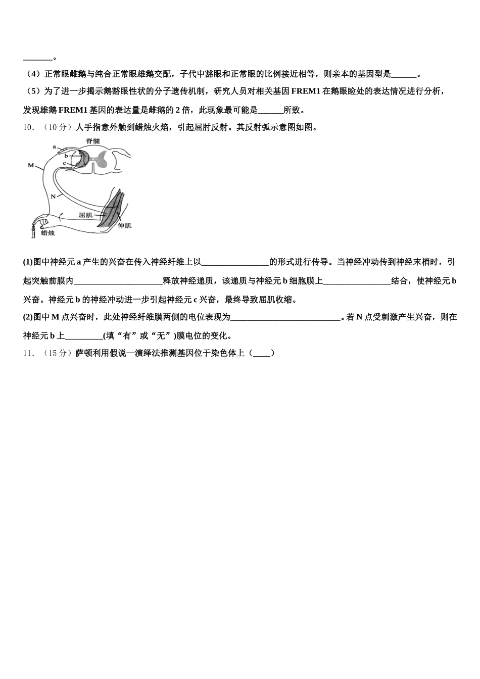 2025届陕西交大附中 高一下生物期末联考模拟试题含解析_第3页