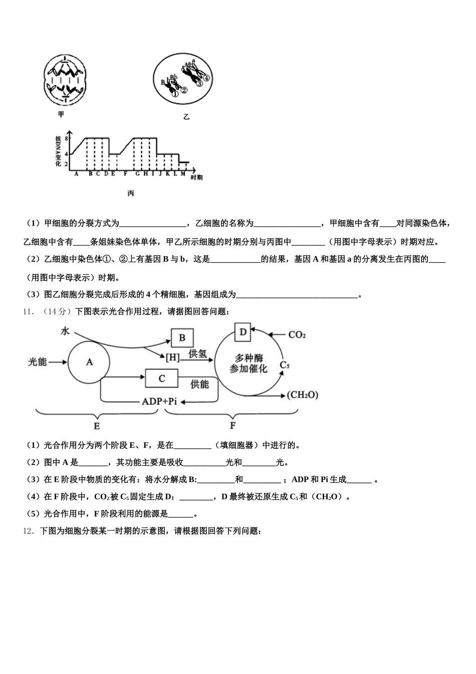 2024-2025学年陕西省兴平市西郊中学高一下生物期末教学质量检测模拟试题含解析_第3页