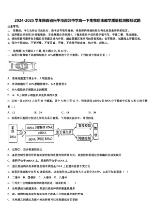 2024-2025学年陕西省兴平市西郊中学高一下生物期末教学质量检测模拟试题含解析
