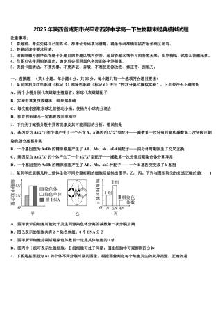 2025年陕西省咸阳市兴平市西郊中学高一下生物期末经典模拟试题含解析