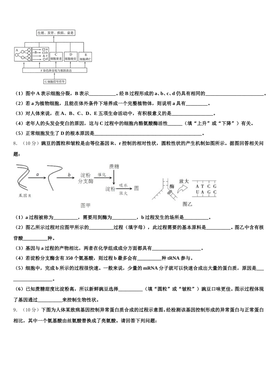 2025届陕西省榆林市横山区横山中学生物高一下期末检测试题含解析_第3页