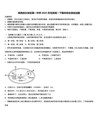陕西省长安区第一中学2025年生物高一下期末综合测试试题含解析