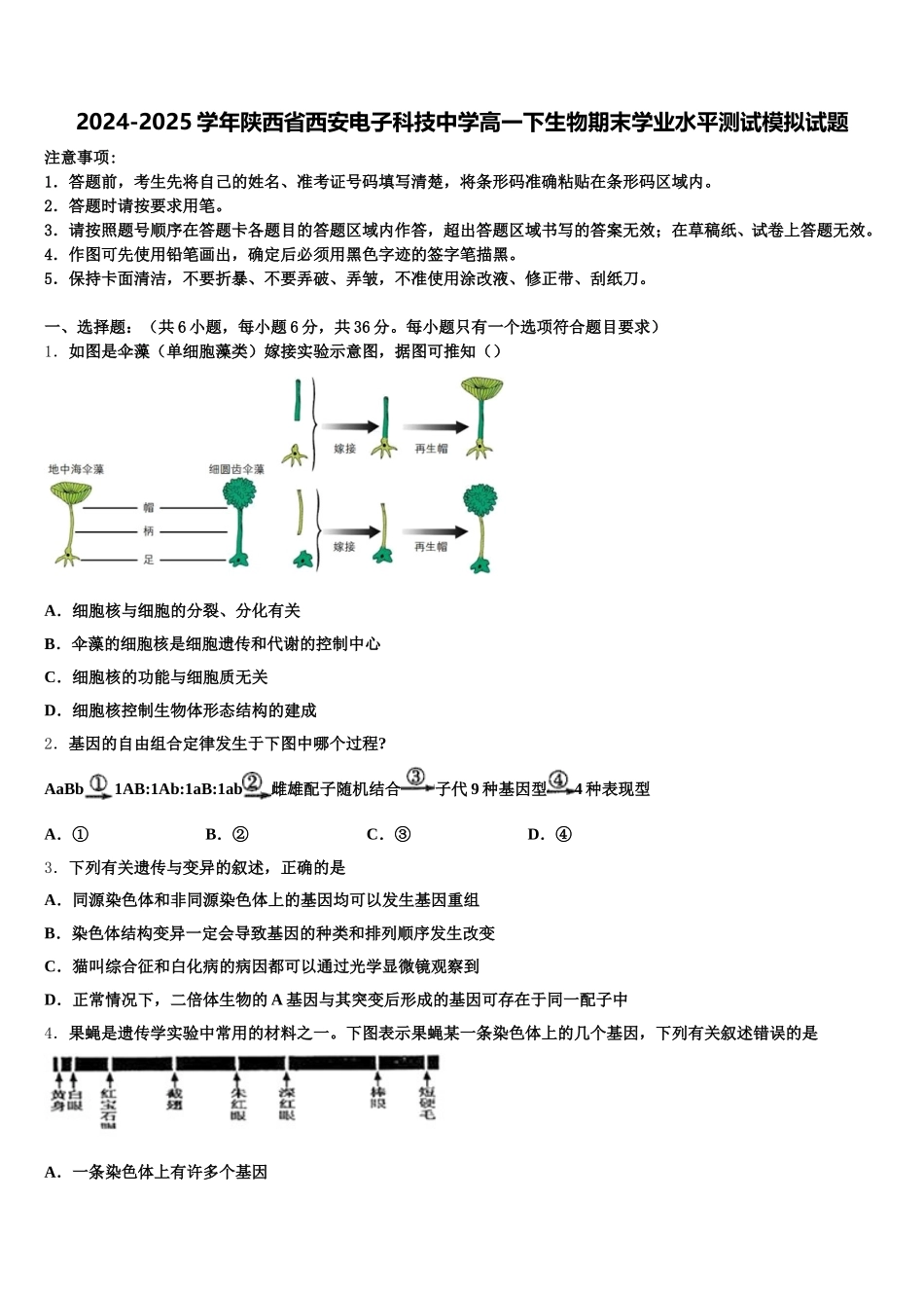 2024-2025学年陕西省西安电子科技中学高一下生物期末学业水平测试模拟试题含解析_第1页