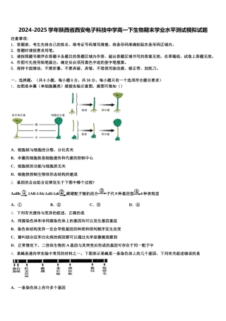 2024-2025学年陕西省西安电子科技中学高一下生物期末学业水平测试模拟试题含解析