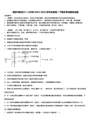 西安市航空六一八中学2024-2025学年生物高一下期末考试模拟试题含解析