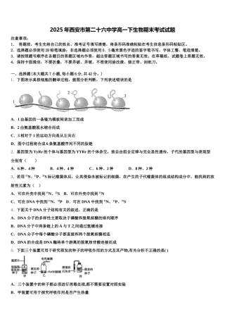 2025年西安市第二十六中学高一下生物期末考试试题含解析