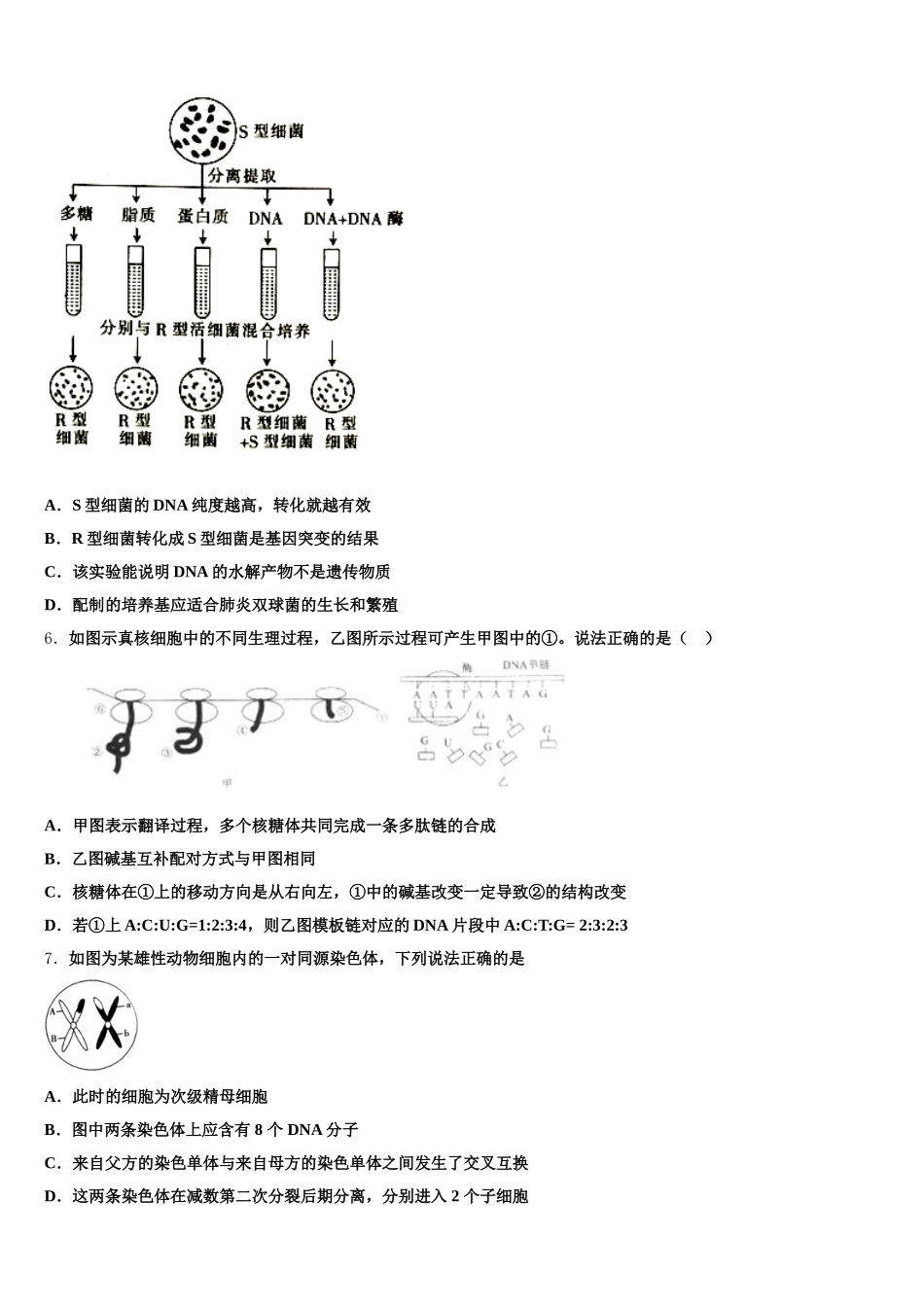 陕西咸阳武功县普集高级中学2025届高一下生物期末联考模拟试题含解析_第2页