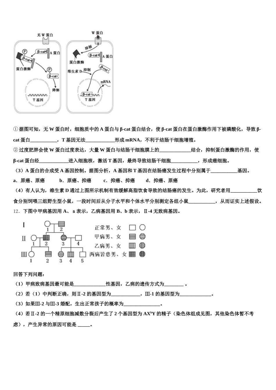 2025年陕西省榆林市横山区横山中学生物高一下期末经典试题含解析_第3页